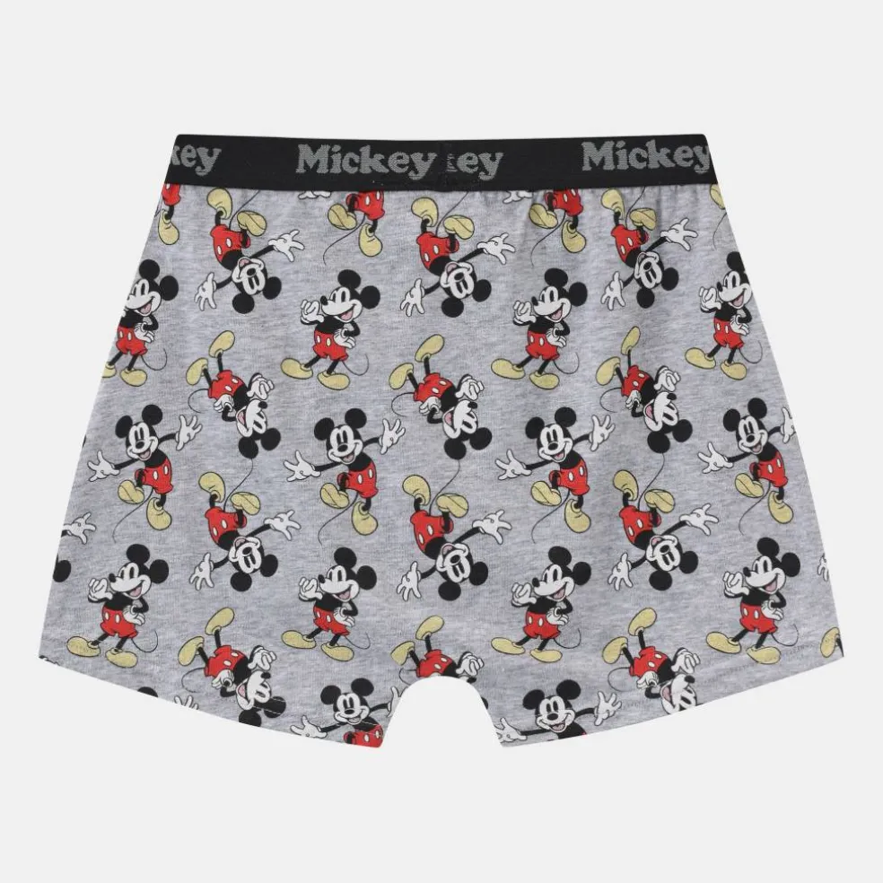 Character 3pk Boxers Junior