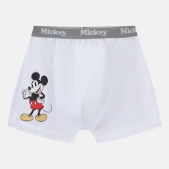 Character 3pk Boxers Junior