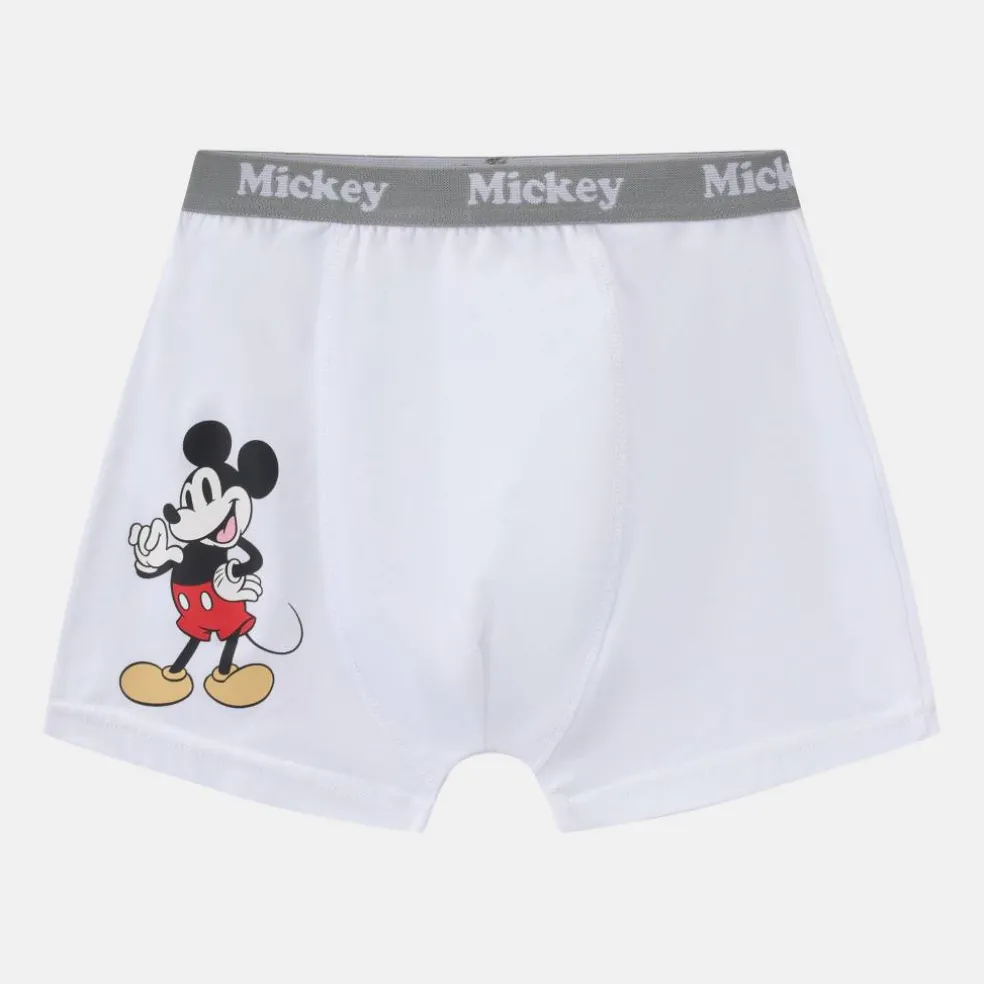 Character 3pk Boxers Junior
