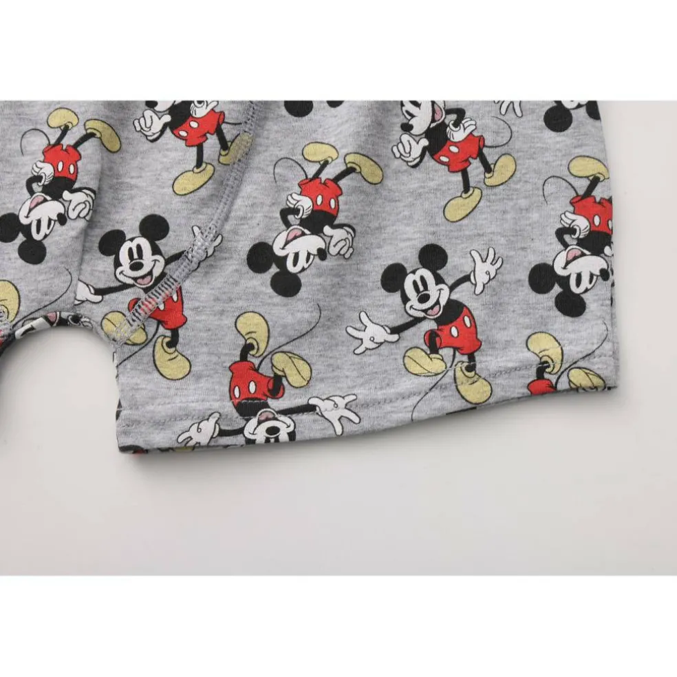Character 3pk Boxers Junior