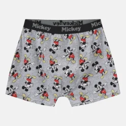 Character 3pk Boxers Junior