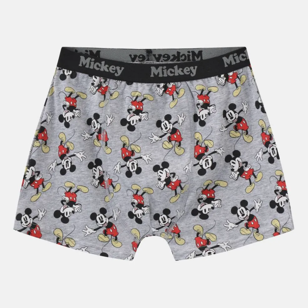 Character 3pk Boxers Junior