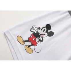 Character 3pk Boxers Junior