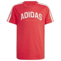 Collegiate Graphic T-Shirt Kids