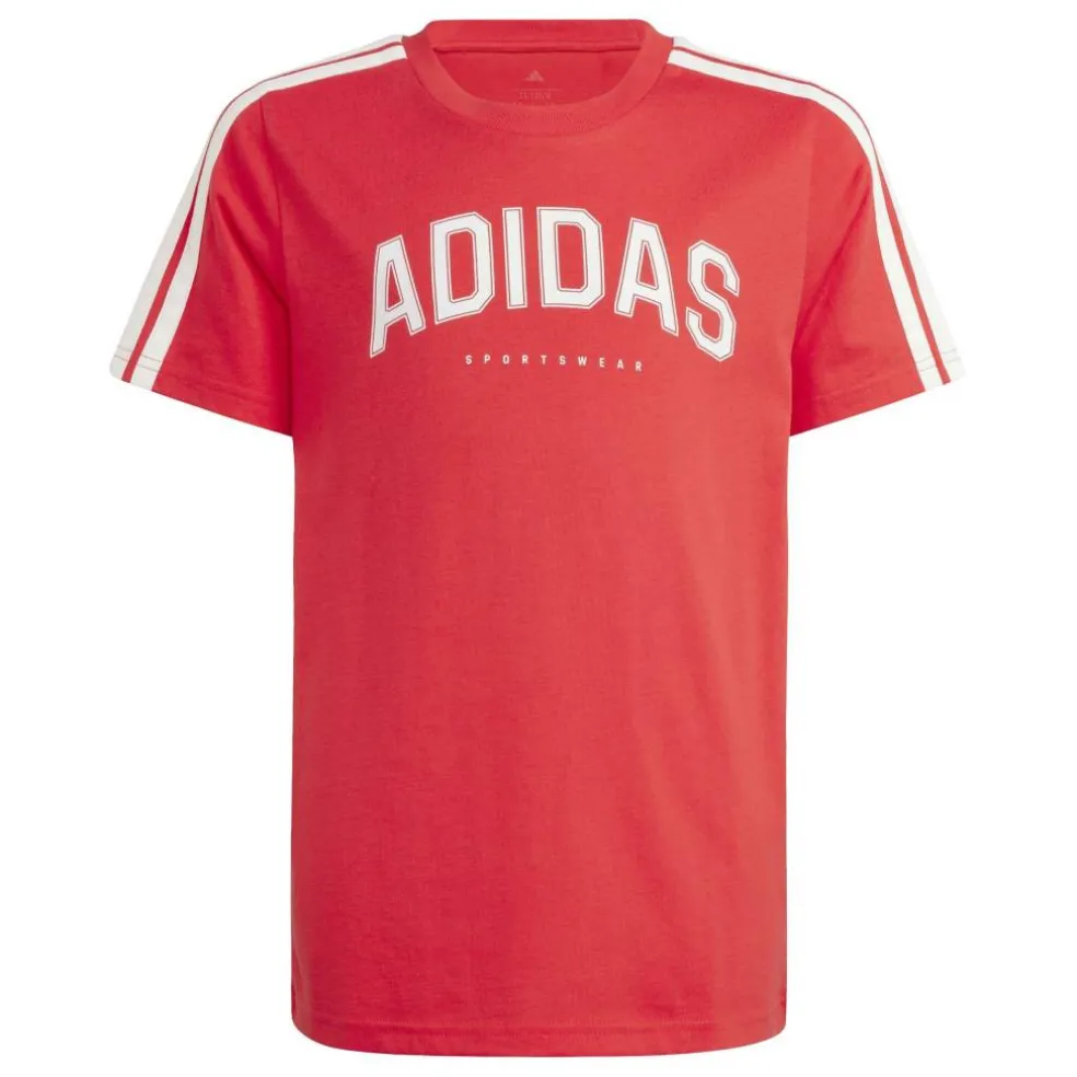 Collegiate Graphic T-Shirt Kids