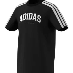 Collegiate Graphic T-Shirt Kids