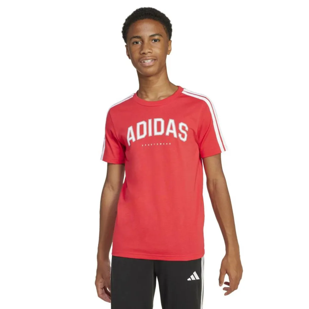 Collegiate Graphic T-Shirt Kids