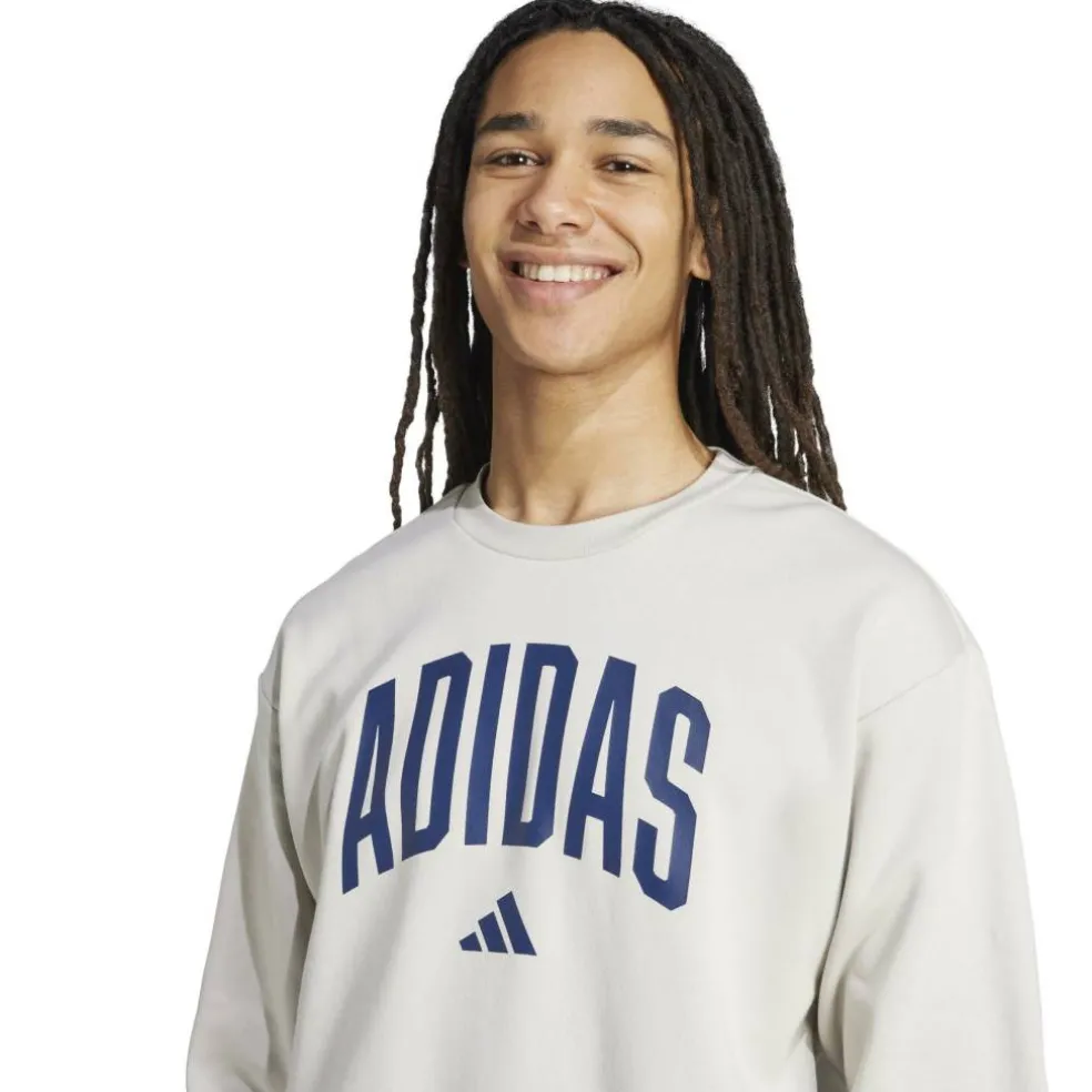 Collegiate Sweatshirt Mens