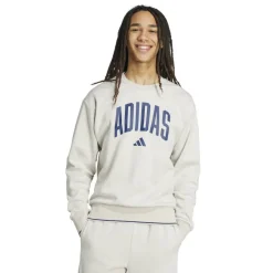 Collegiate Sweatshirt Mens