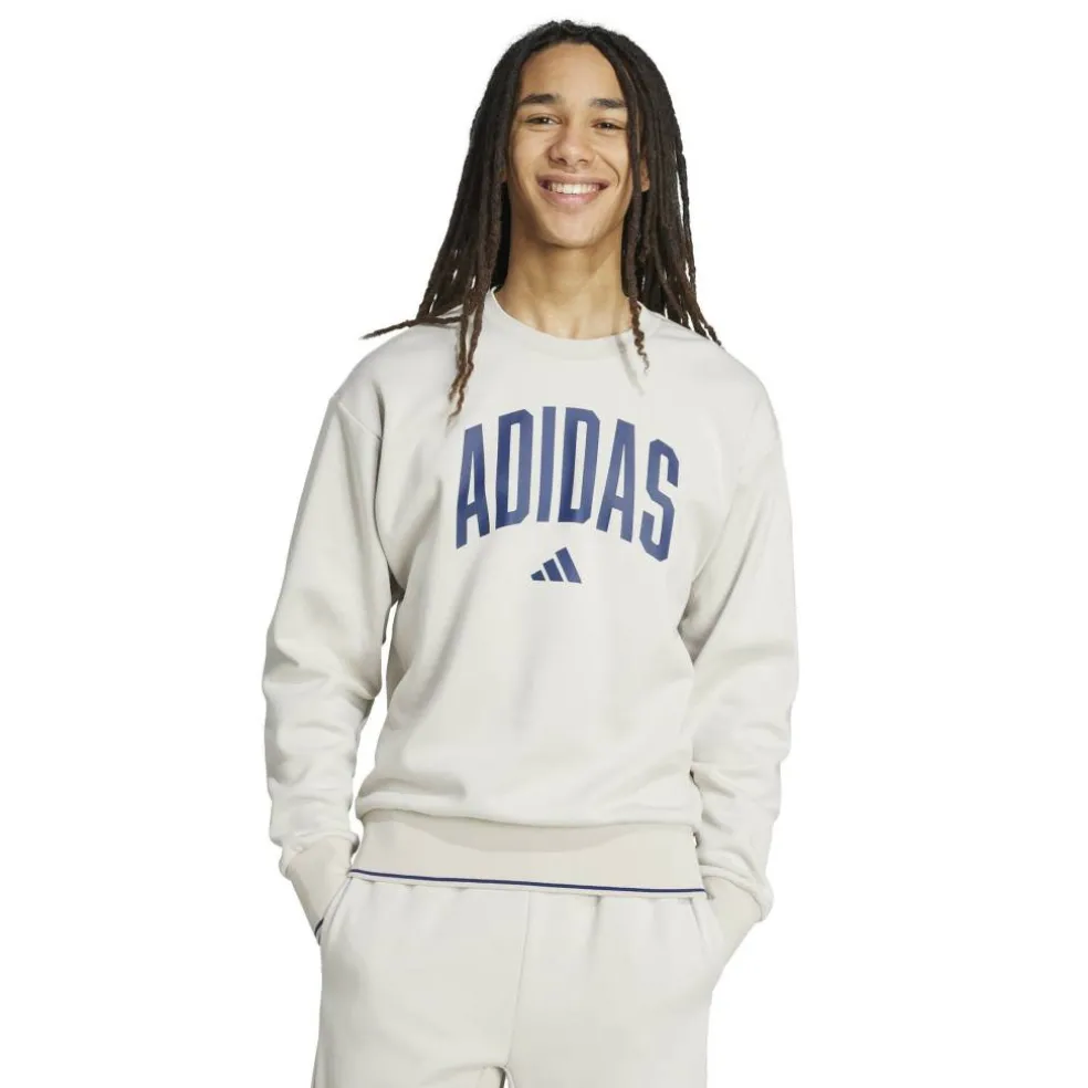 Collegiate Sweatshirt Mens