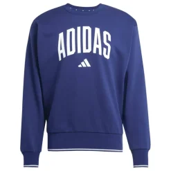 Collegiate Sweatshirt Mens