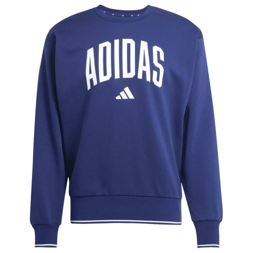 Collegiate Sweatshirt Mens