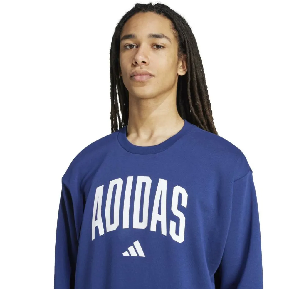 Collegiate Sweatshirt Mens