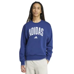 Collegiate Sweatshirt Mens