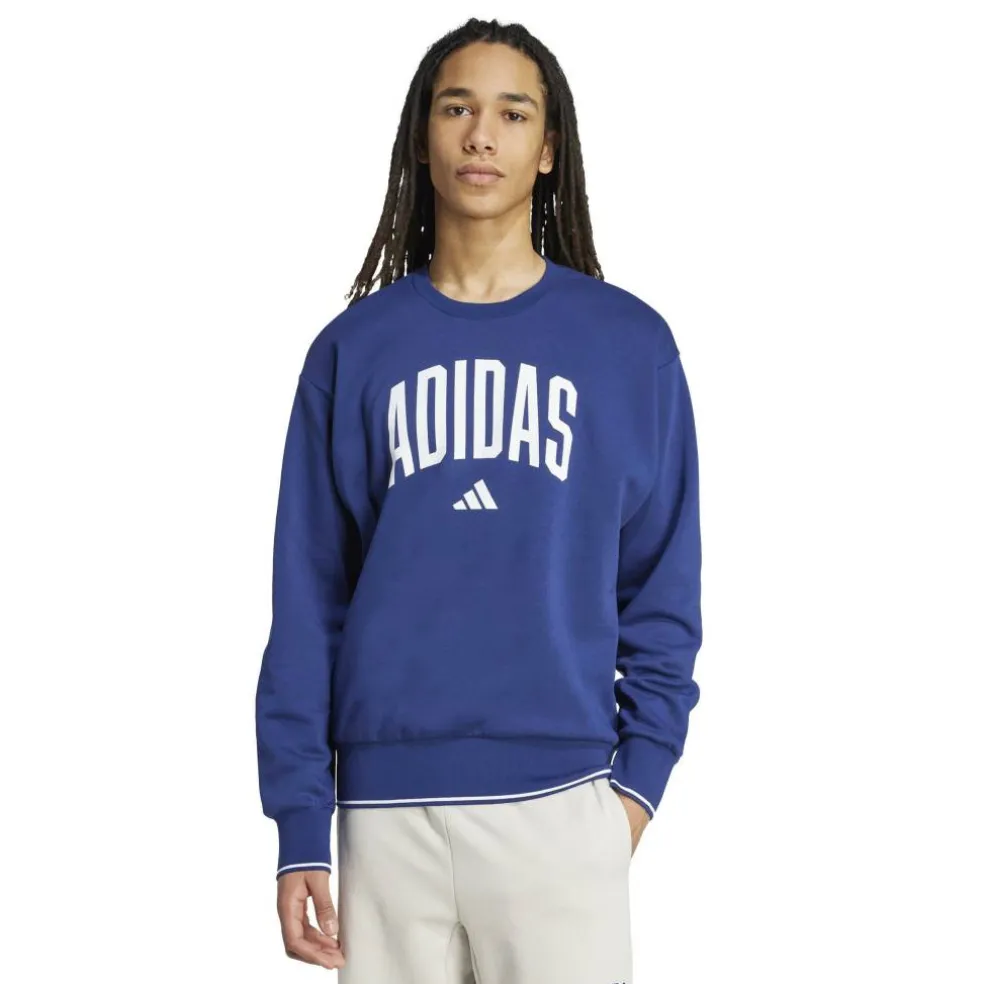 Collegiate Sweatshirt Mens