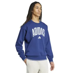 Collegiate Sweatshirt Mens