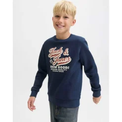 Colour Logo Crew Sweat Junior Boys