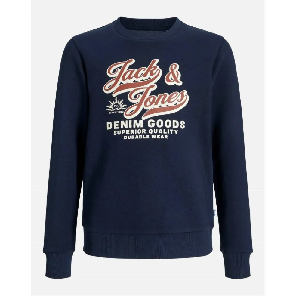 Colour Logo Crew Sweat Junior Boys
