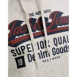 Colour Logo Hoodie Mens