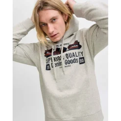 Colour Logo Hoodie Mens