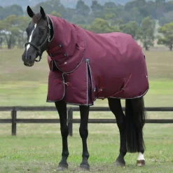 Comfitec Essential Detach-A-Neck 220g Burgundy Navy