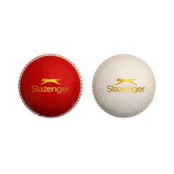 Cricket Training Ball