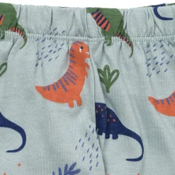Dino Leggings