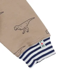 Dinosaur Print Crew Sweatshirt