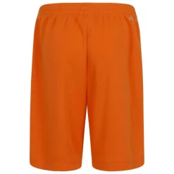 Dri-Fit HBR Shorts