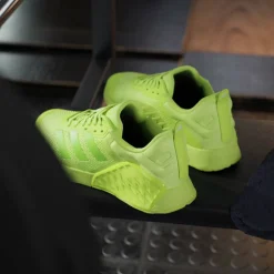 Dropset 3 Training Shoes
