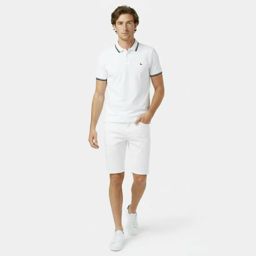 Edgeware Tipped Polo