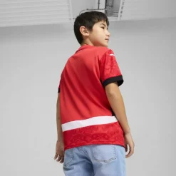 Egypt Home Shirt 2025 Juniors