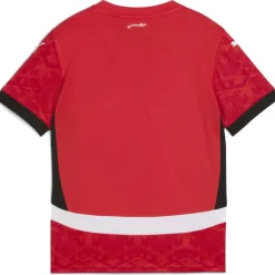 Egypt Home Shirt 2025 Juniors