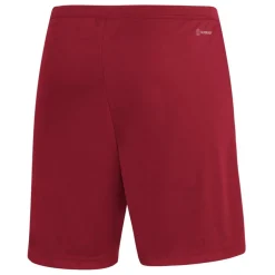Entrada 22 Shorts Mens