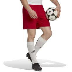 Entrada 22 Shorts Mens