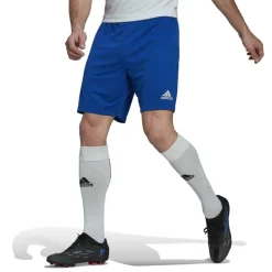 Entrada 22 Shorts Mens