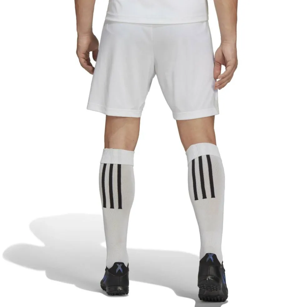 Entrada 22 Shorts Mens