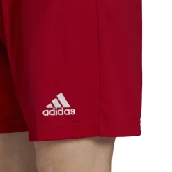 Entrada 22 Shorts Mens