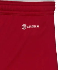 Entrada 22 Shorts Mens