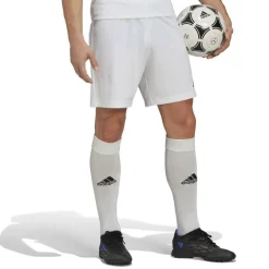 Entrada 22 Shorts Mens