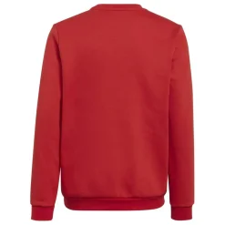 ENT22 Sweater Juniors