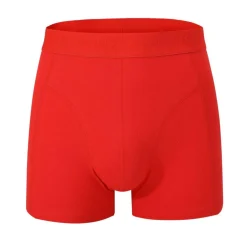 Essential Boxer Trunk 10-Pack Mens