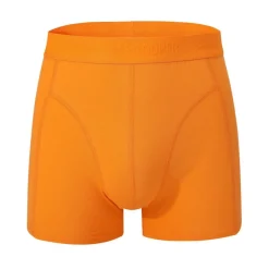 Essential Boxer Trunk 10-Pack Mens