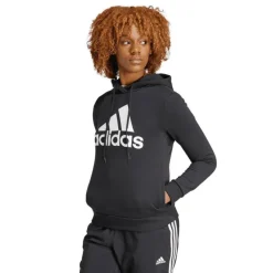 Essentials Big Logo Fleece Hoodie