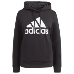 Essentials Big Logo Fleece Hoodie
