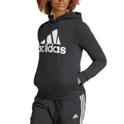 Essentials Big Logo Fleece Hoodie