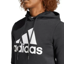 Essentials Big Logo Fleece Hoodie