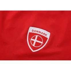 Euros 2025™ Denmark T-Shirt Juniors