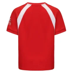 Euros 2025™ Denmark T-Shirt Juniors