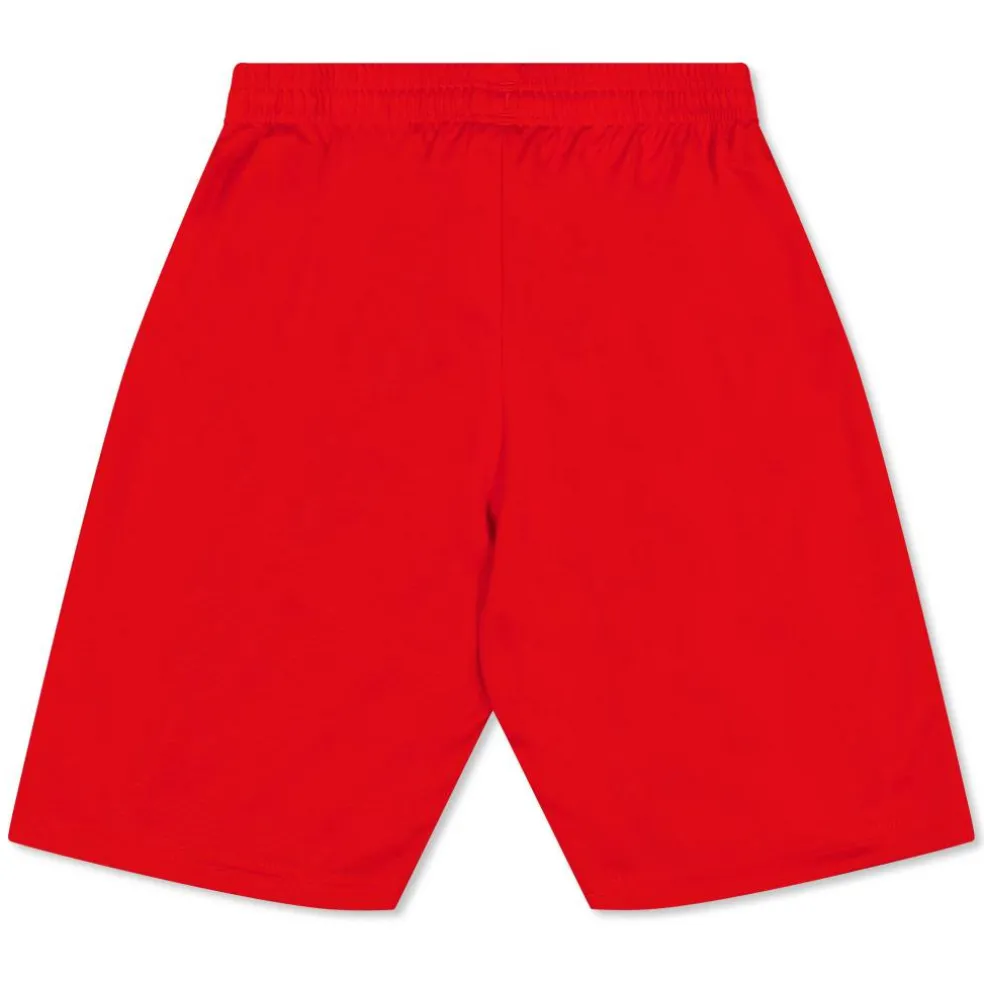 (3) Fb Team Shorts With Brief Juniors